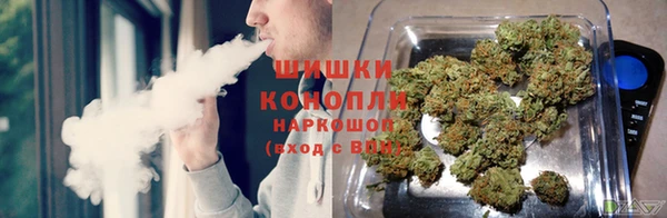 ПСИЛОЦИБИНОВЫЕ ГРИБЫ Гусев