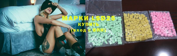 ПСИЛОЦИБИНОВЫЕ ГРИБЫ Гусев