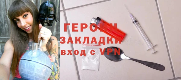 индика Дмитриев