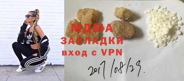 индика Дмитриев