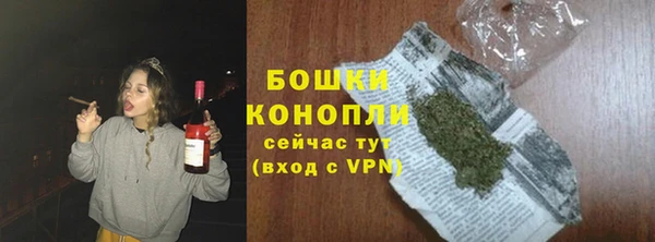 индика Дмитриев