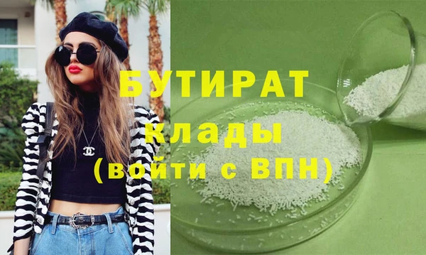 индика Дмитриев