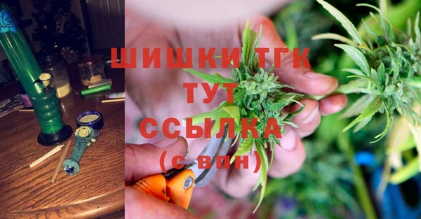 ПСИЛОЦИБИНОВЫЕ ГРИБЫ Гусев