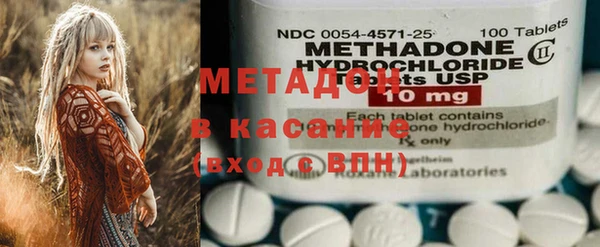 индика Дмитриев