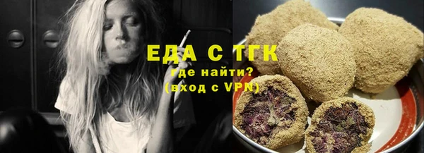 индика Дмитриев