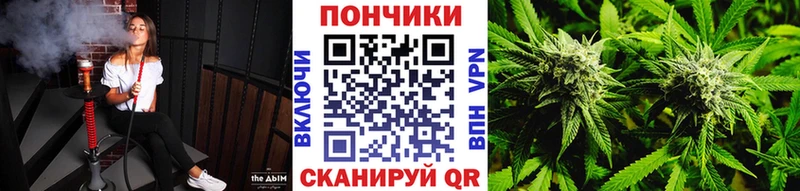 Марихуана марихуана  Купить где  Шахунья 